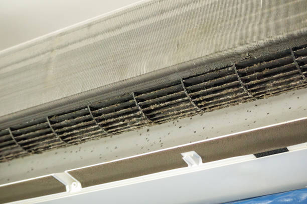 Best Duct Cleaning for Homes  in Dent, OH